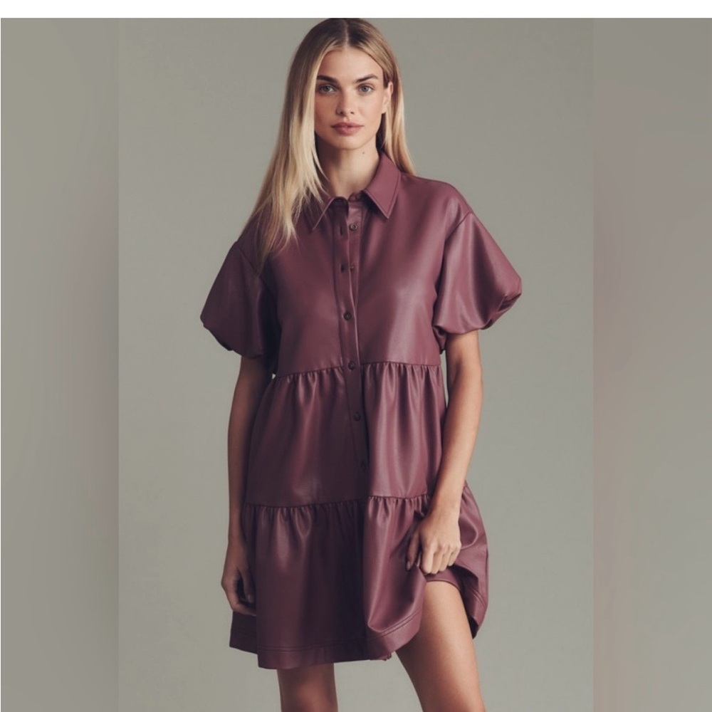 Plum leather Anthropologie dress